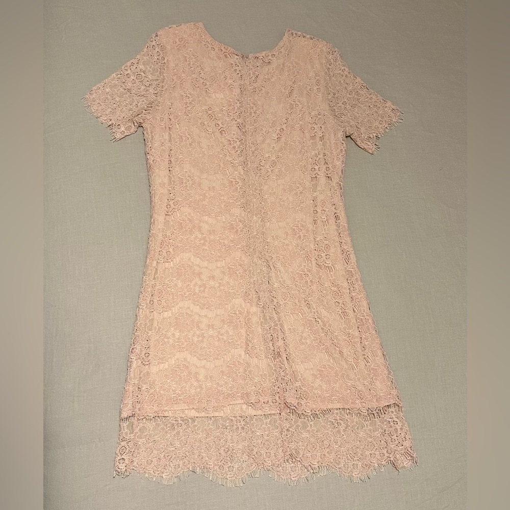 NWT Pink Lily Boutique Lace Sheath Dress, Size Medium - Picture 3 of 6